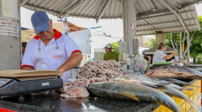Tradição da Semana Santa impulsiona vendas e destaca variedade de preços na Praça do Peixe, em Petrolina