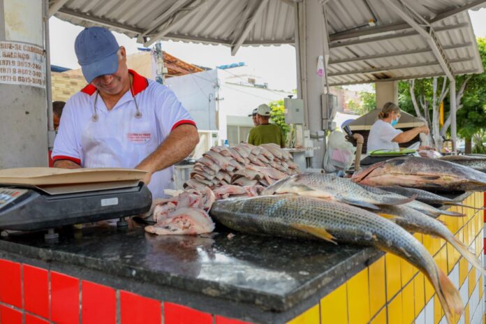 WhatsApp Image 2026-03-31 at 13.08.32