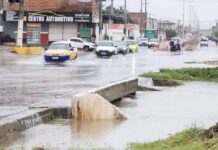 Petrolina: chuvas intensas aumentam casos de perda de placas de veículos