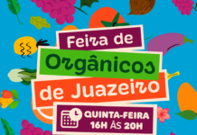 Feira de Orgânicos de Juazeiro passa a funcionar na Feira Livre do bairro Alto da Maravilha a partir desta quinta-feira (12)