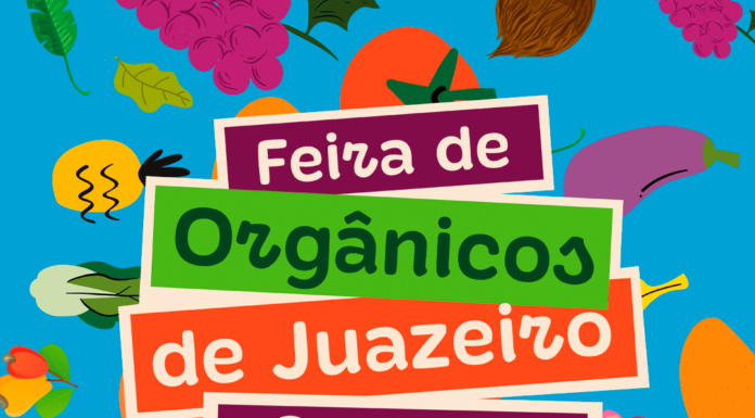 Feira de Orgânicos de Juazeiro passa a funcionar na Feira Livre do bairro Alto da Maravilha a partir desta quinta-feira (12)