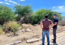 Terrenos baldios entram no radar da fiscalização e proprietários devem manter espaços limpos