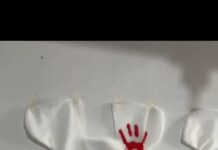 Vestidos que contam histórias: exposição em Petrolina alerta sobre violência contra mulheres