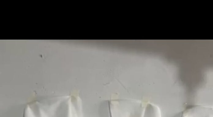 Vestidos que contam histórias: exposição em Petrolina alerta sobre violência contra mulheres