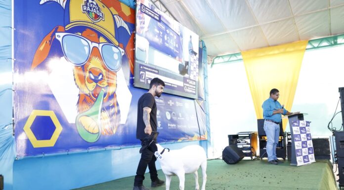 Primeiro Leilão de Caprinos e Ovinos da ExpoRajada supera expectativa de vendas