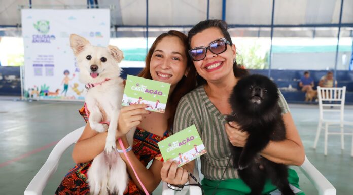 Mutirão de castração de cães e gatos chega a Petrolina e amplia ações no Sertão de Pernambuco