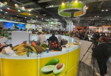 Abrafrutas faz balanço positivo da Fruit Attraction São Paulo com resultados relevantes de negócios e fortalecimento da promoção do setor