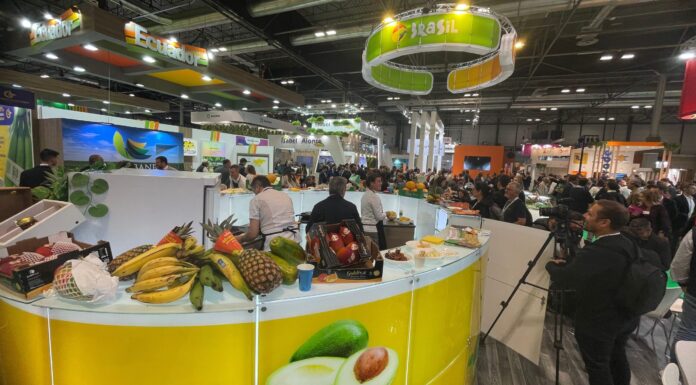 Abrafrutas faz balanço positivo da Fruit Attraction São Paulo com resultados relevantes de negócios e fortalecimento da promoção do setor