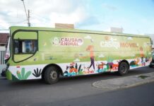 Salgueiro recebe mutirão de castração de cães e gatos através de programa estadual