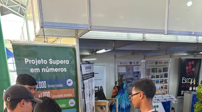 Durante ExpoRajada, estudantes vivenciam na prática o que aprendem em sala de aula