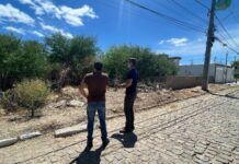 Manutenção de terrenos é responsabilidade do proprietário e contribui para uma cidade mais organizada