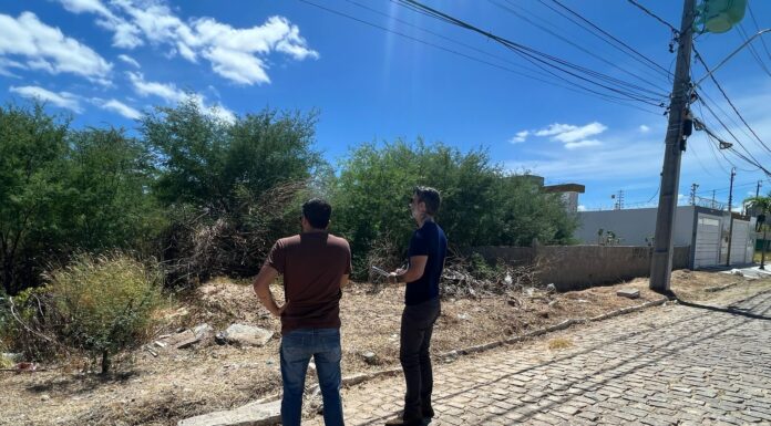 Manutenção de terrenos é responsabilidade do proprietário e contribui para uma cidade mais organizada