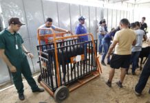 ExpoRajada tem início com o maior número de expositores da história