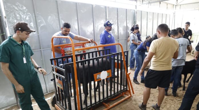 ExpoRajada tem início com o maior número de expositores da história