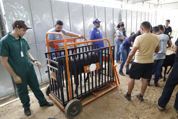 9d21f5d5-8b4c-4194-82f6-080c904d0cfa