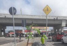 Petrolina conta com plataforma para mapear áreas mais quentes do município