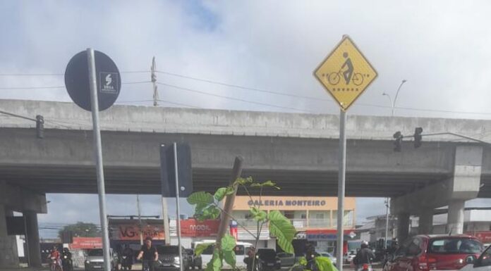 Petrolina conta com plataforma para mapear áreas mais quentes do município