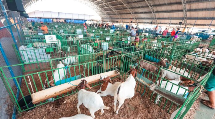 Vila do Empreendedorismo tem presença confirmada durante a ExpoRajada 2026