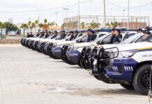 Guarda Civil Municipal celebra 32 anos de história e fortalecimento da segurança pública de Petrolina