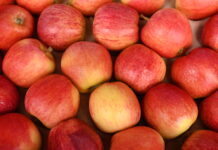 Confira a cotação de hortifrutigranjeiros no Mercado do Produtor de Juazeiro nesta segunda-feira (27)