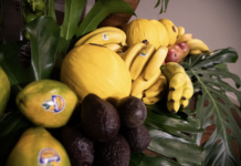 Fruticultura brasileira buscando expansão nos mercados da Itália e Canadá