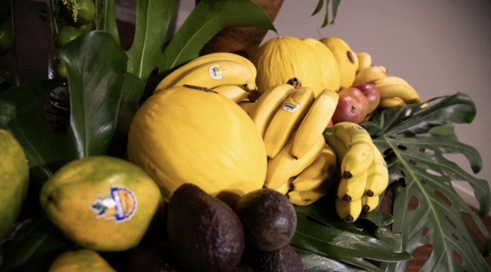 Fruticultura brasileira buscando expansão nos mercados da Itália e Canadá