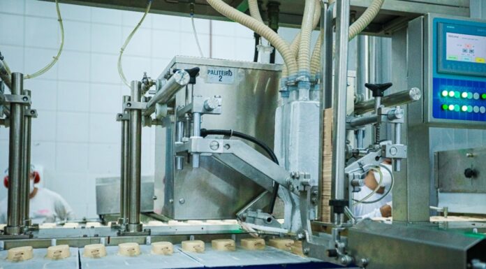 Banco Central aponta Pernambuco como o estado com maior crescimento econômico do Brasil no início de 2026