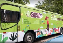 Mutirão de castração de cães e gatos chega a Petrolina nesta terça (28); saiba como participar