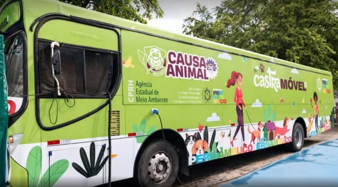 Mutirão de castração de cães e gatos chega a Petrolina nesta terça (28); saiba como participar