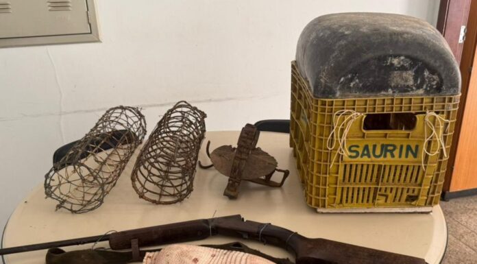 PMBA apreende arma de fogo e combate a caça ilegal de animais silvestres em Juazeiro