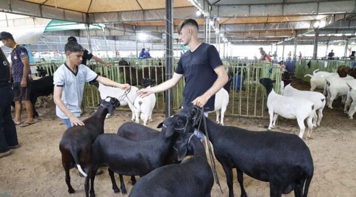 Expositores de diversos estados participam da ExpoRajada