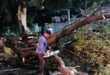 Chuvas mobilizam Defesa Civil e Serviços Públicos em Juazeiro após queda de árvores e pontos de alagamento