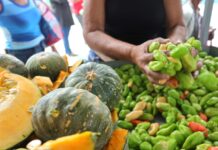 Saiba os preços atualizados de hortifrutigranjeiros no Mercado do Produtor de Juazeiro nesta terça (28)