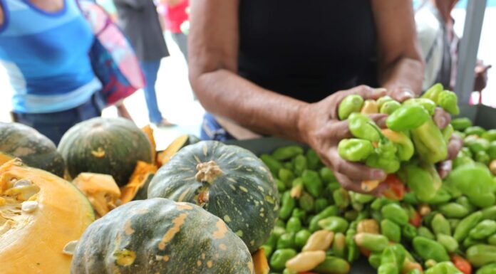 Saiba os preços atualizados de hortifrutigranjeiros no Mercado do Produtor de Juazeiro nesta terça (28)