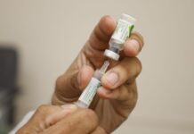 Prefeitura promove encontro para reforça prevenção de doença transmitida por gatos