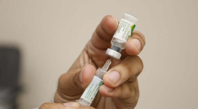 Prefeitura promove encontro para reforça prevenção de doença transmitida por gatos