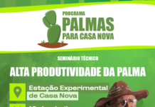 Seminário técnico em Casa Nova aborda alta produtividade da palma forrageira nesta sexta (10)