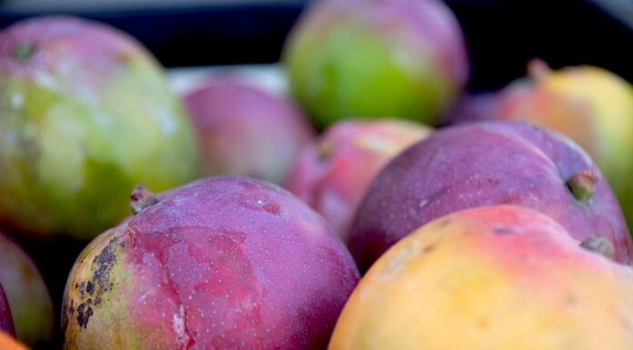 Mercado do Produtor: Veja a cotação dos produtos comercializados nesta quinta-feira (23)