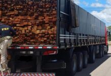 PRF realiza Operação Sentinela e intensifica combate a crimes ambientais em Pernambuco