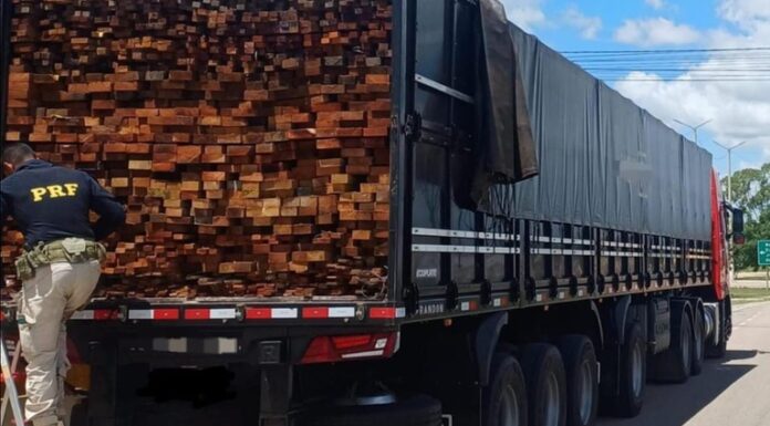 PRF realiza Operação Sentinela e intensifica combate a crimes ambientais em Pernambuco