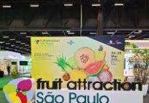 Exportações de frutas registram variação de crescimento de 38% em valor e 62% em volume em 10 anos e Brasil avança como player global