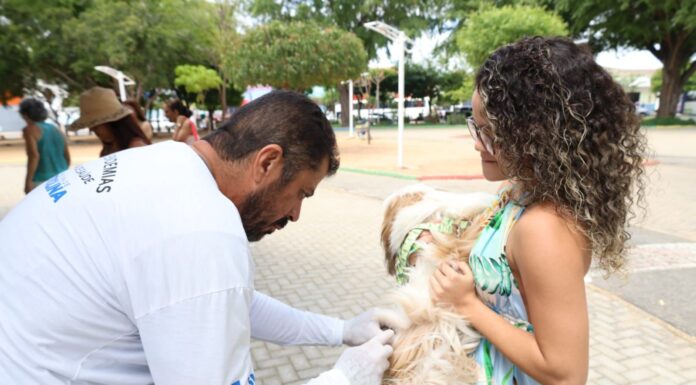 Animais serão vacinados contra raiva durante Bora Petrolina