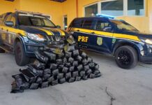 Dois homens são detidos com 51 kg de “supermaconha” na BR-428, em Petrolina