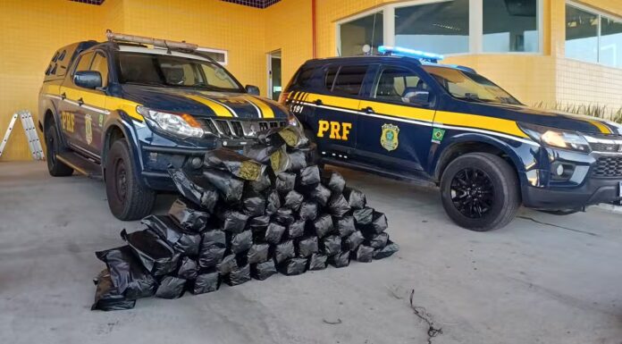 Dois homens são detidos com 51 kg de “supermaconha” na BR-428, em Petrolina