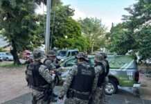 Batalhão de Policiamento Ambiental atua na prevenção e repressão a crimes ambientais em Pernambuco