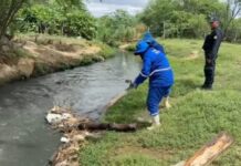 Canal do Antônio Cassimiro recebe ação de limpeza para evitar acúmulo de água e lixo