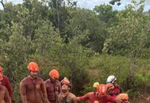 Mais de 200 bombeiros do Nordeste participaram de simulado integrado na Bahia para atuação em ocorrências de alta complexidade