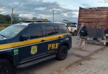 PRF e IBAMA apreendem 165 m³ de madeira ilegal durante operação no Sertão de Pernambuco