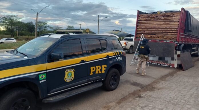 PRF e IBAMA apreendem 165 m³ de madeira ilegal durante operação no Sertão de Pernambuco