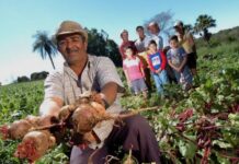 Sintraf-Petrolina orienta agricultores familiares sobre acesso à aposentadoria rural